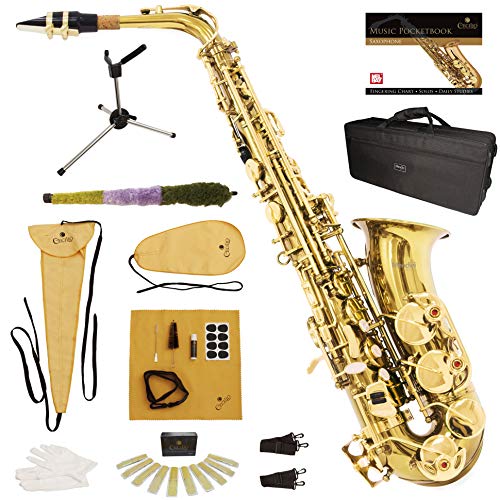 Mendini By Cecilio Alto Saxophone