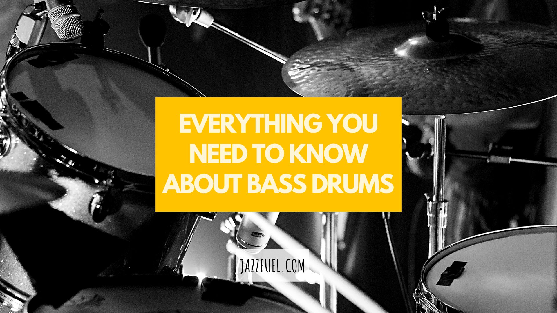 Everything You Need to Know About Bass Drums