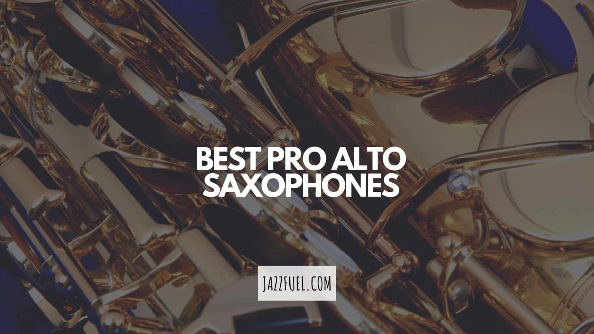 The Best Professional Alto Saxophones | Top Ten Picks