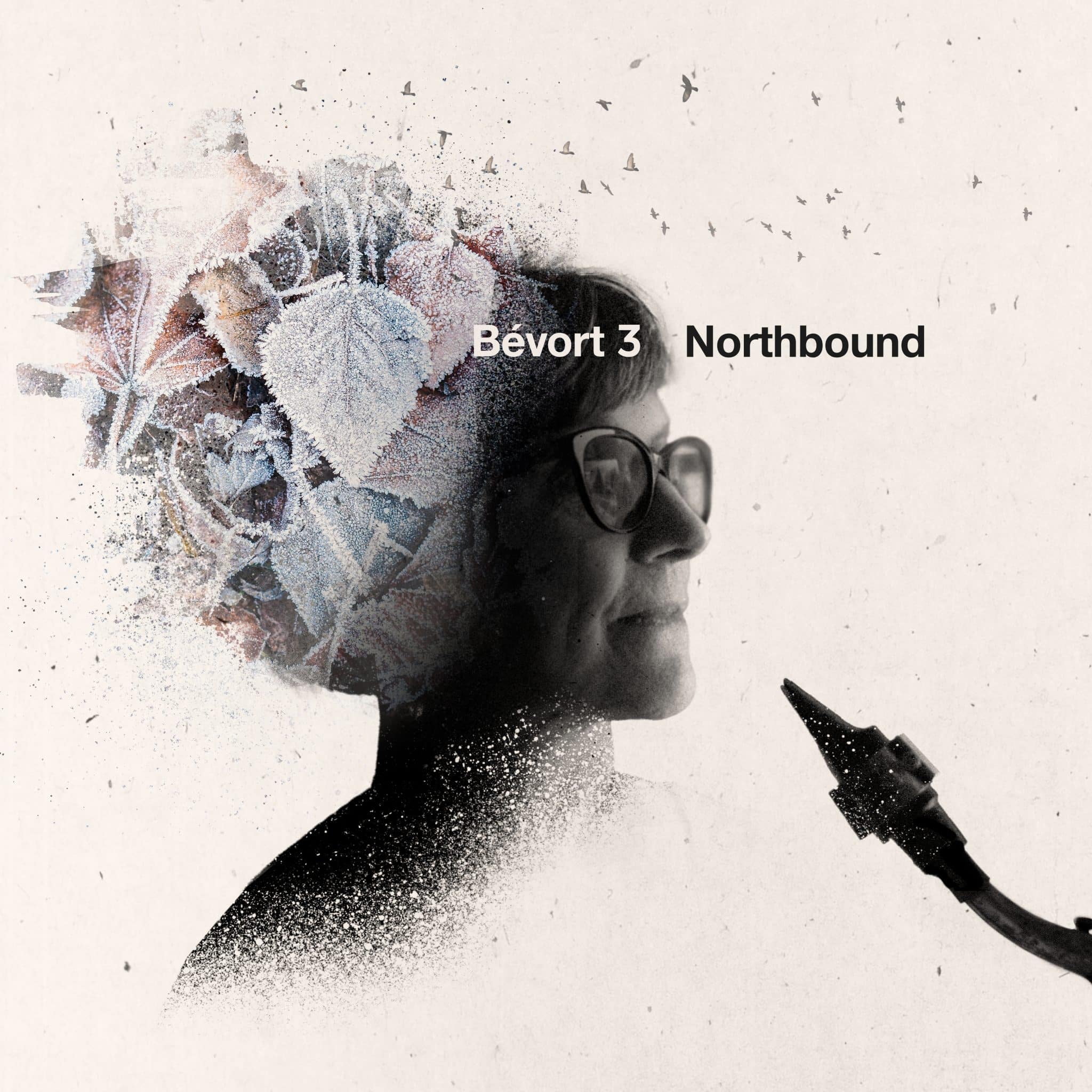 Bévort 3 | Northbound | February 9, 2024