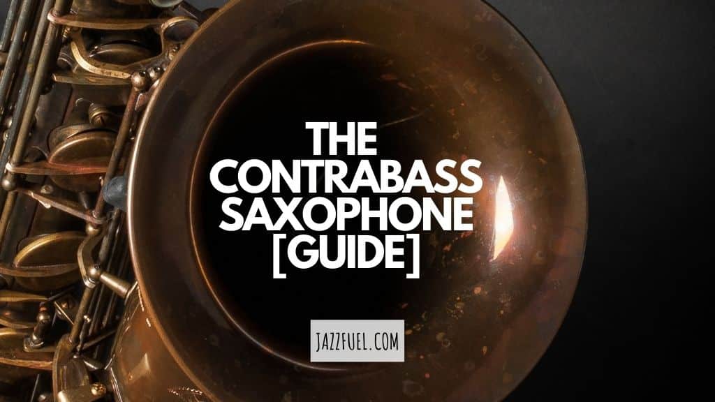 The Contrabass Saxophone – The Biggest Sax You’ll See This Year!