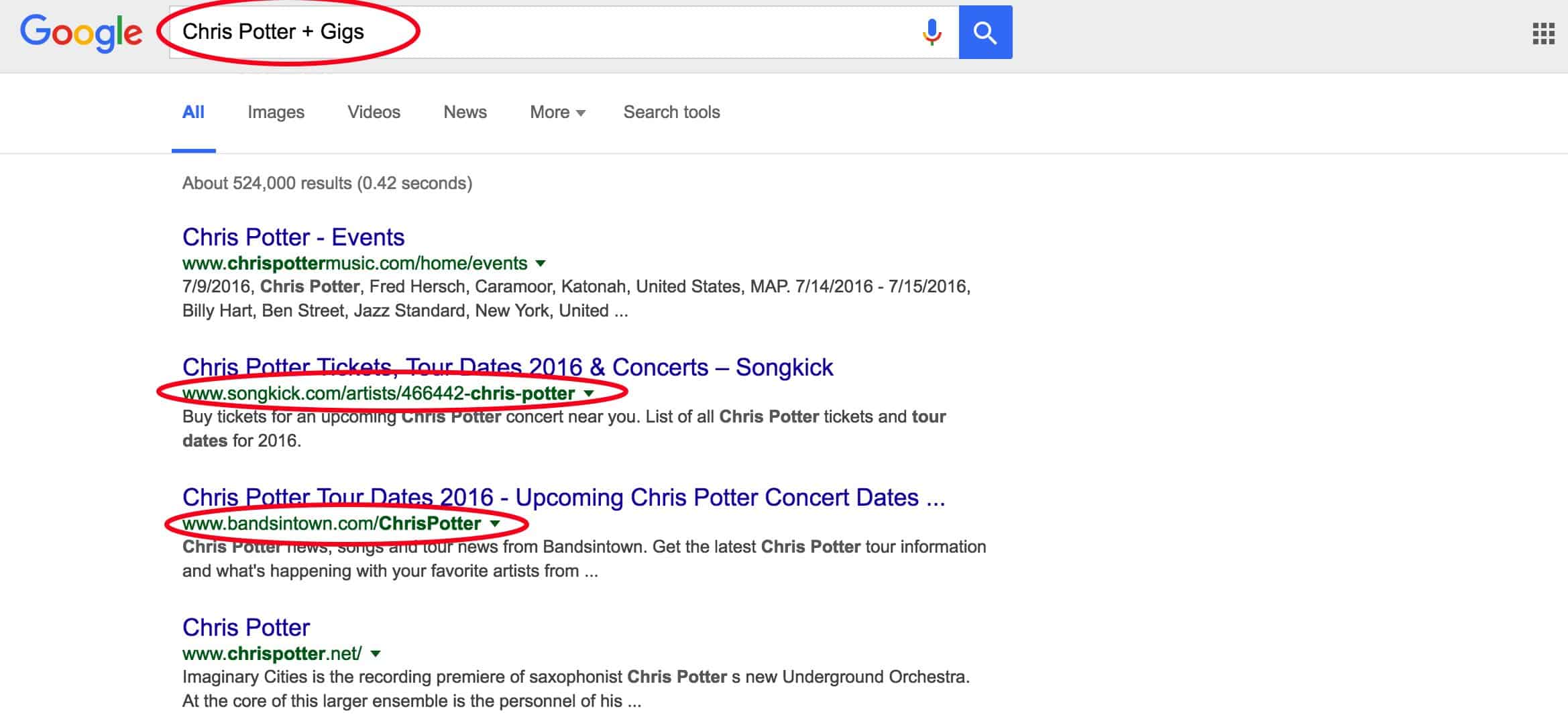 Google-Search-Sample-Tours