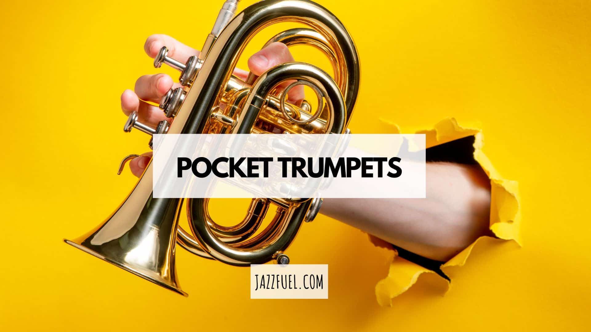 The Best Pocket Trumpets Right Now (And Do You Need One?)