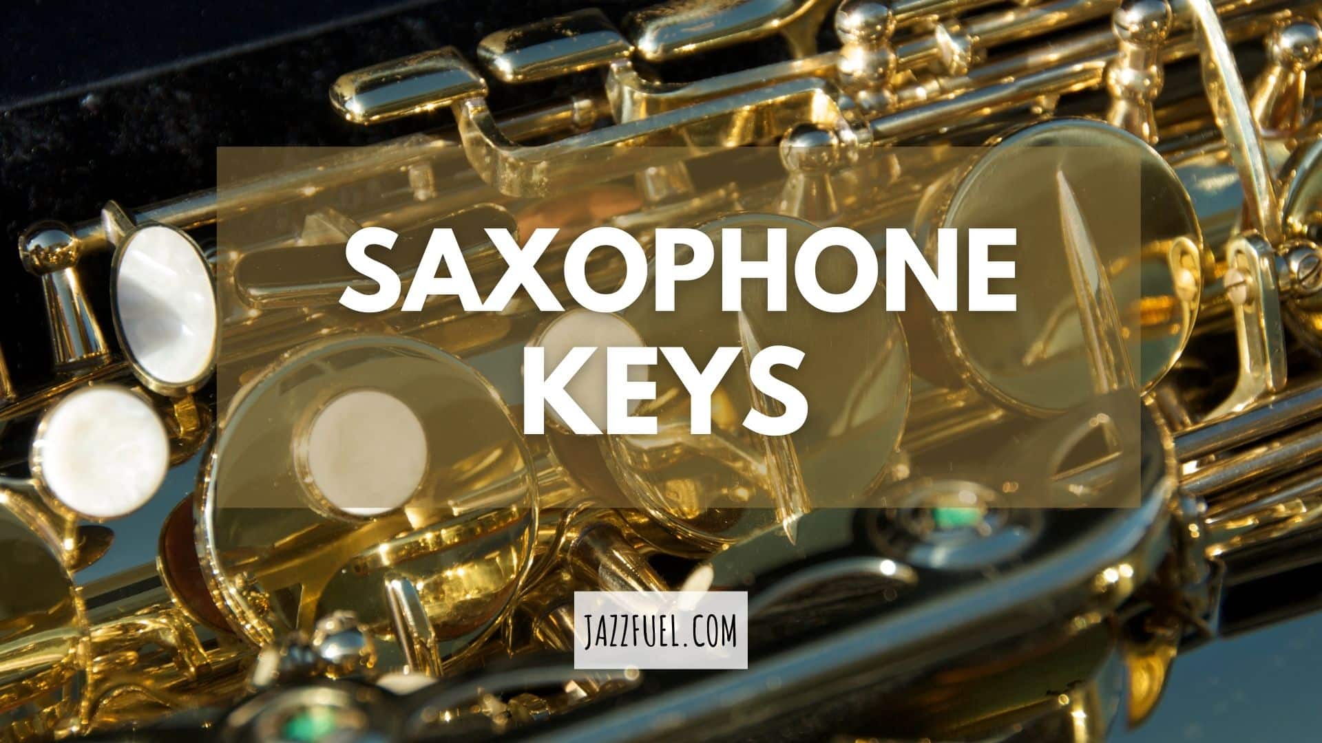 Saxophone Keys Guide (plus Free Fingering Chart!)