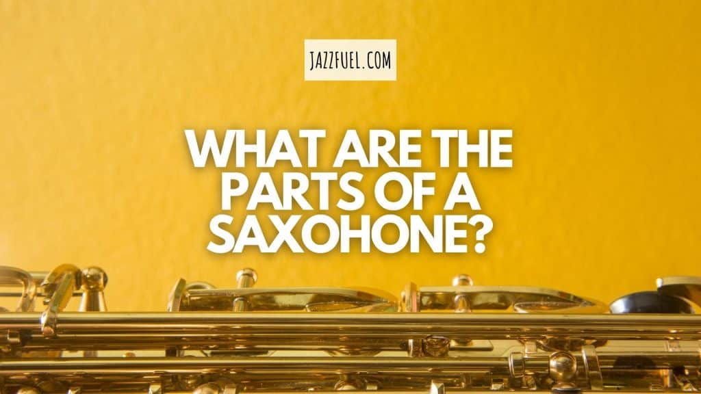 What Are the Different Parts of The Saxophone? [Anatomy Lesson!]