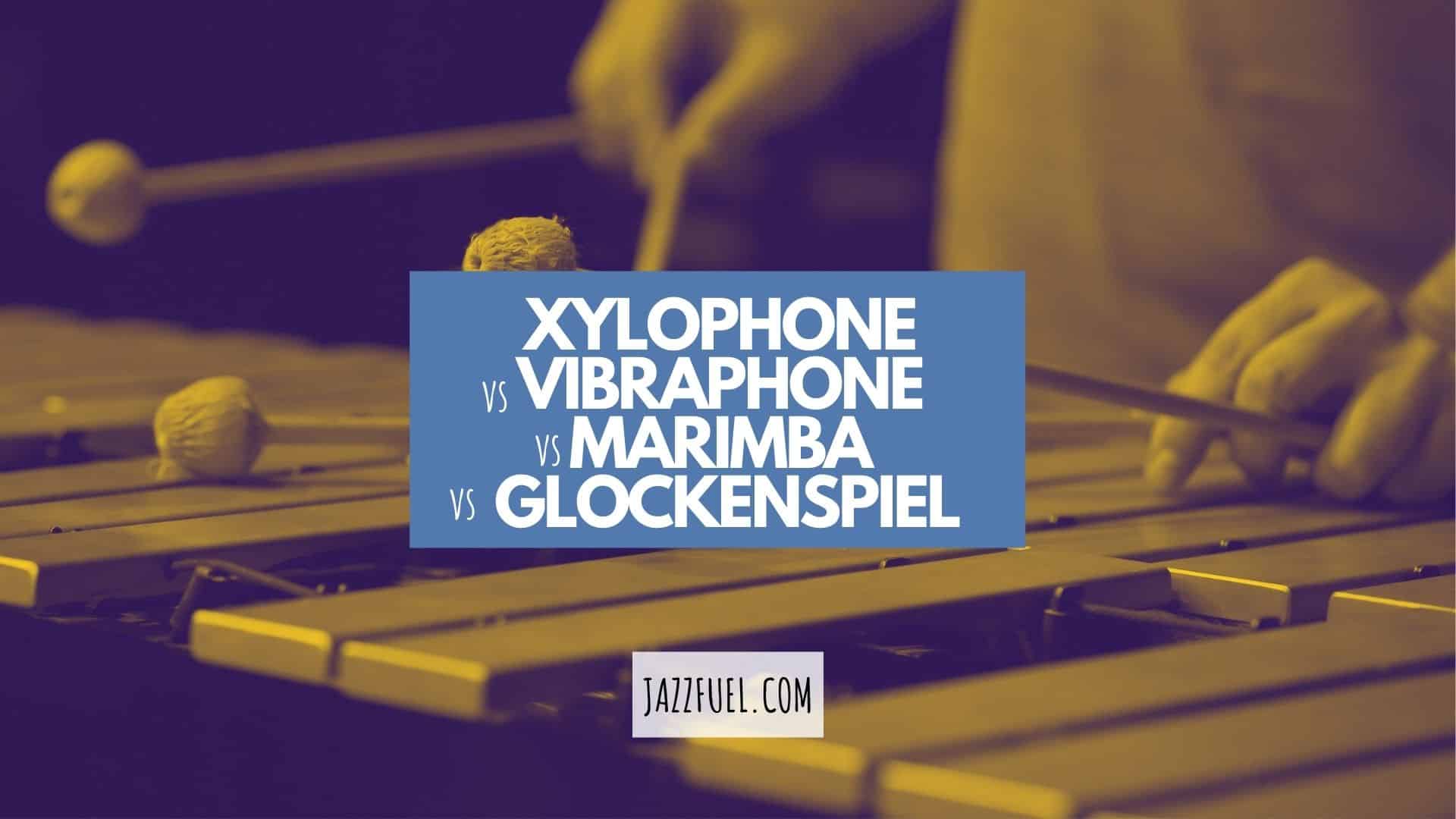 Tuned Percussion 101: Vibraphone vs Xylophone, Marimba & More