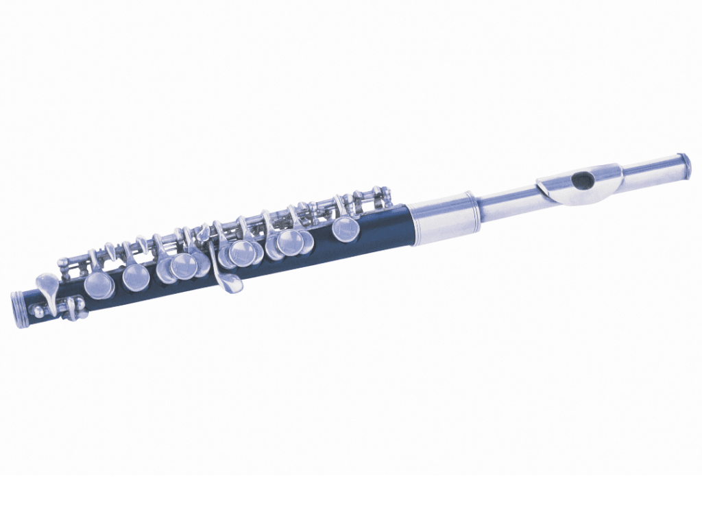 the Piccolo (wind instrument family member)