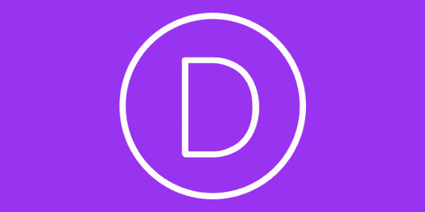 Divi Theme (Wordpress)